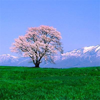 “爱的诗篇·《大山里的小诗人》新书发布会”在京举行
