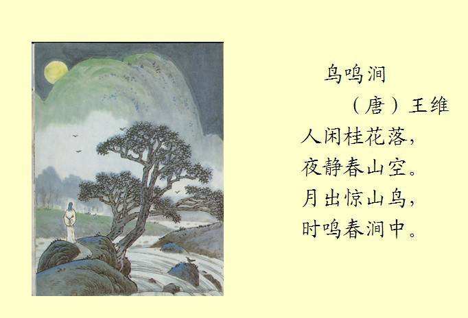 武汉“茶乡”：一片茶叶“沏出”绿水青山致富路